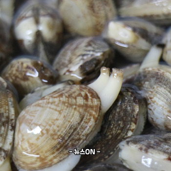 꼬막 비빔밥 레시피