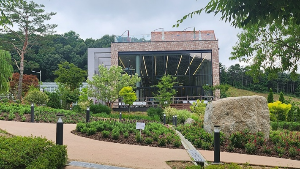 용인 자작나무숲