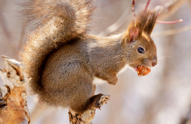 대구 네이처파크