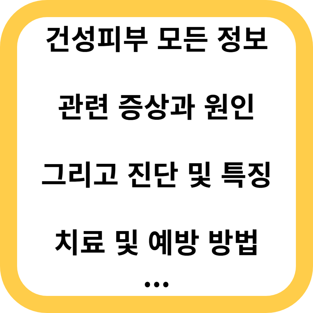 건성피부