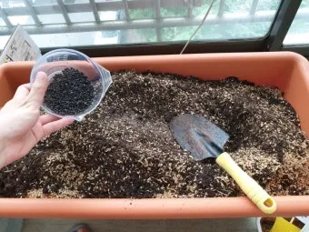 바나나 껍질 비료 활용 희석사용시기 냄새방지 천연영양 가이드_11