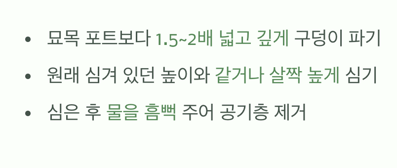 2. 첫 보금자리, 넓고 편안하게 마련해주기