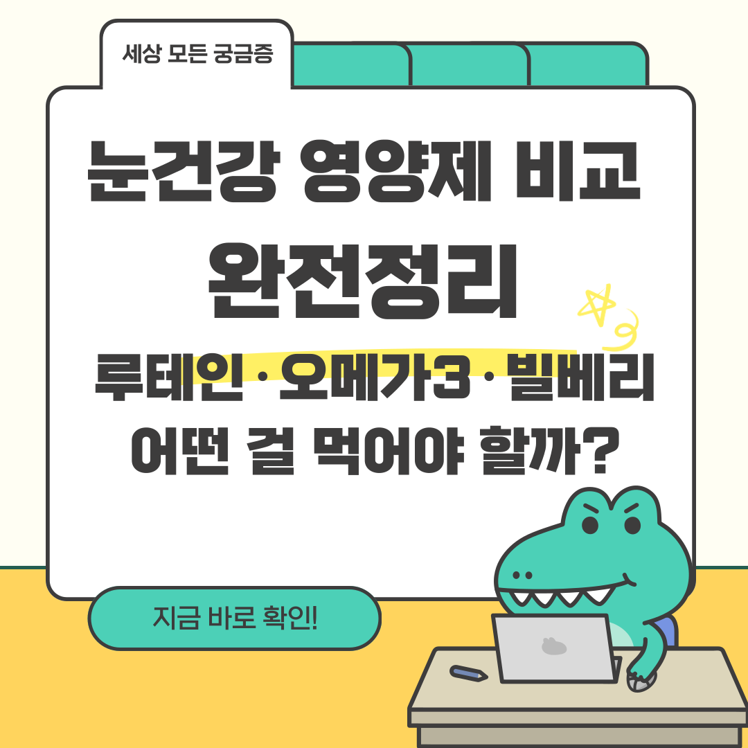 눈건강 영양제 비교 완전정리 - 루테인·오메가3·빌베리 어떤 걸 먹어야 할까