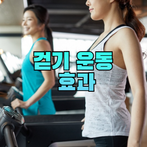 걷기 운동 효과