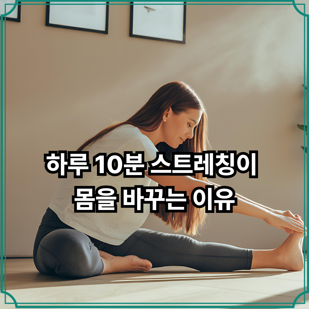 하루 10분 스트레칭이 몸을 바꾸는 이유
