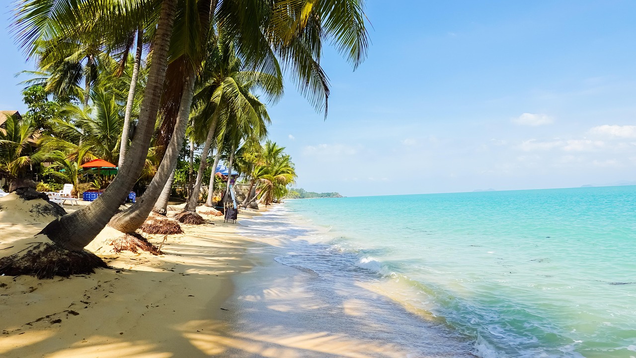 코사무이의 해변