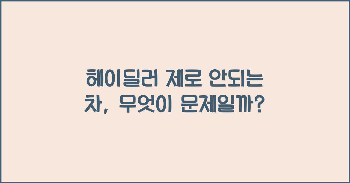 헤이딜러 제로 안되는 차