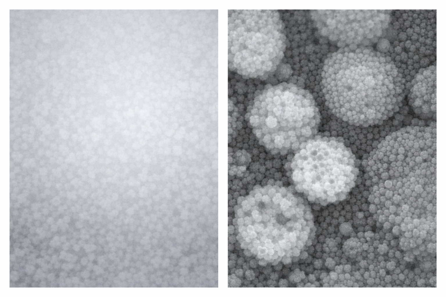 밝기와 대비관련 이미지