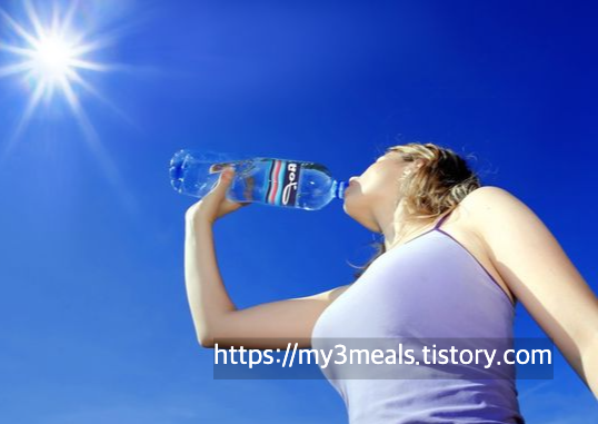 무더위 이온음료