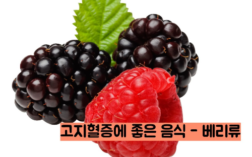 고지혈증에 좋은 음식