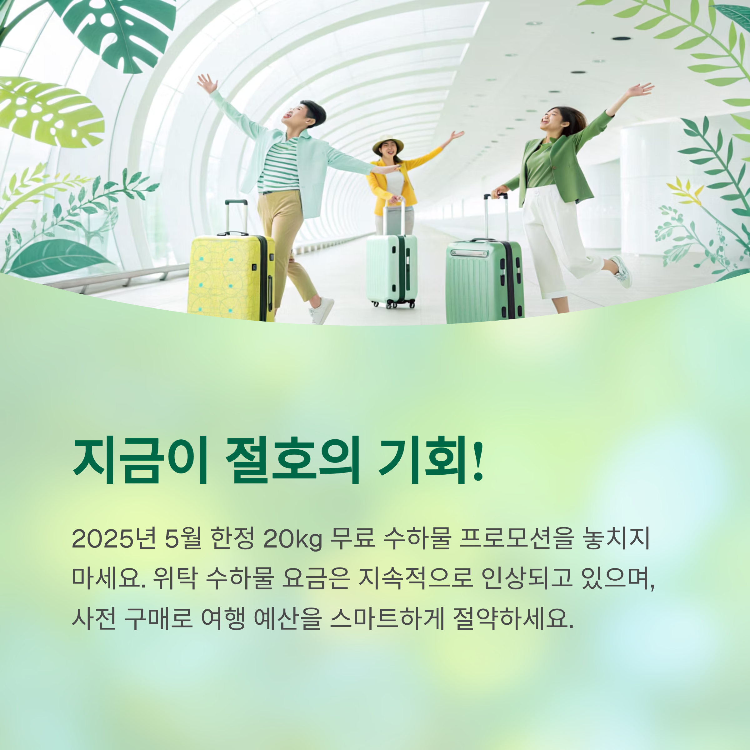 지금이 절호의 기회