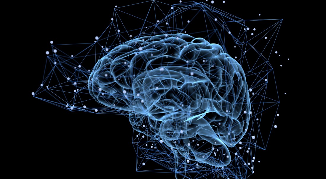 포스파티딜세린-300mg-가격