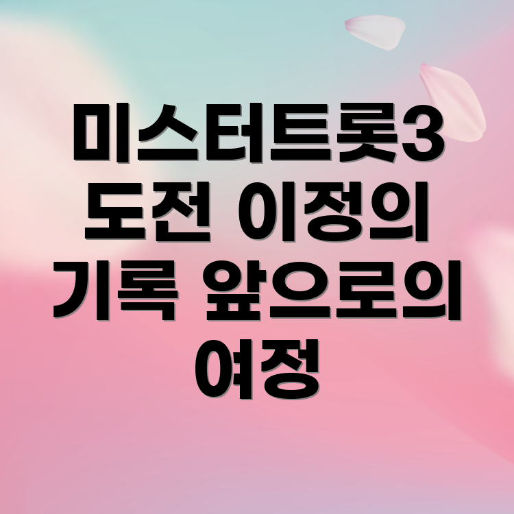 미스터트롯3 도전