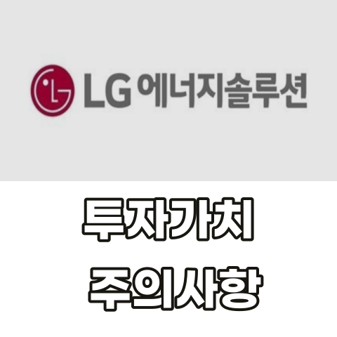 LG에너지솔루션