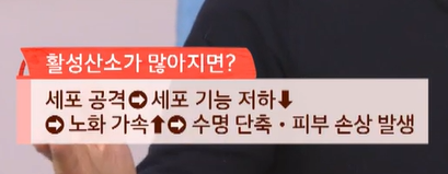 코엔자임큐텐의 효능