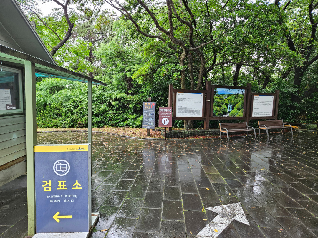 중문 천제연 제1폭포 가는길