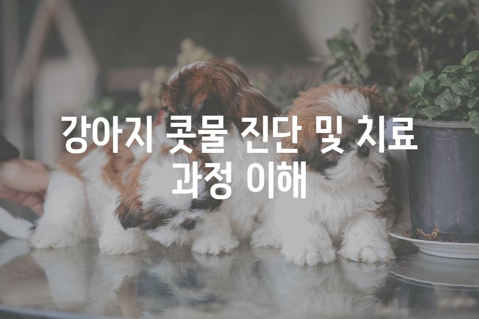 강아지 콧물 진단 및 치료 과정 이해