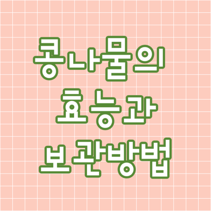 콩나물의 효능과 보관방법 이미지