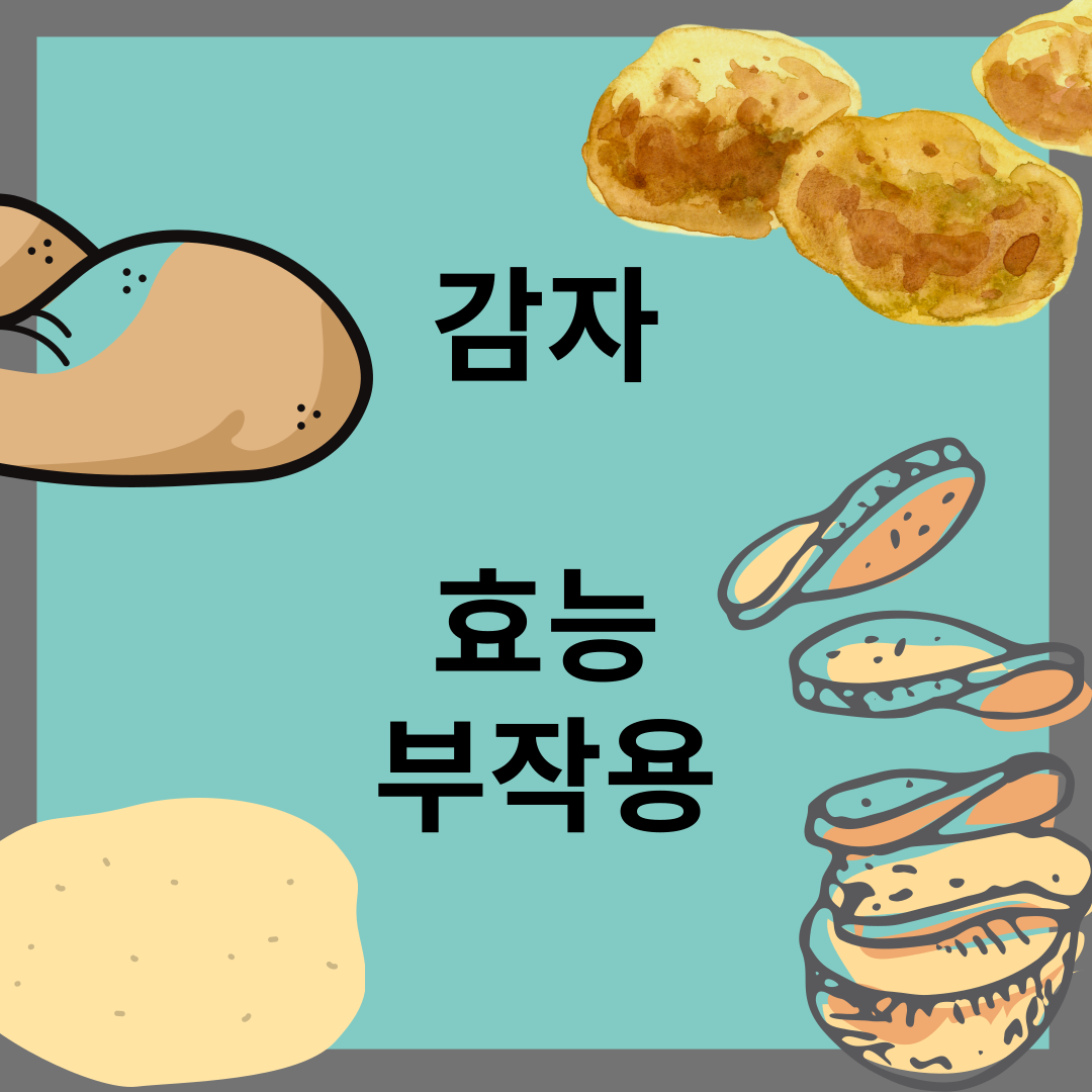 감자 효능 부작용