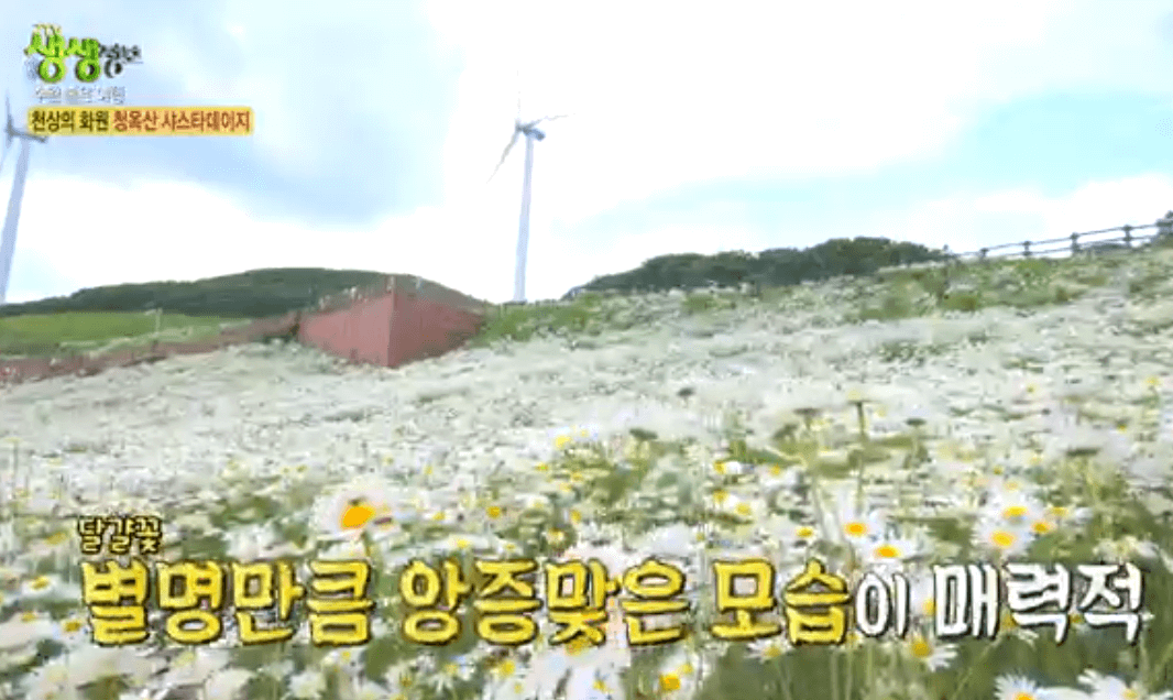 평창 가볼만한 곳 육백마지기