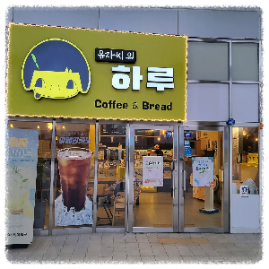 유자씨의하루