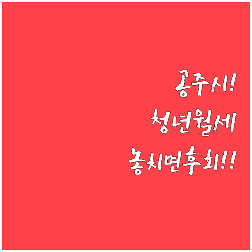 공주시 청년월세지원 자격 조건과 신청..