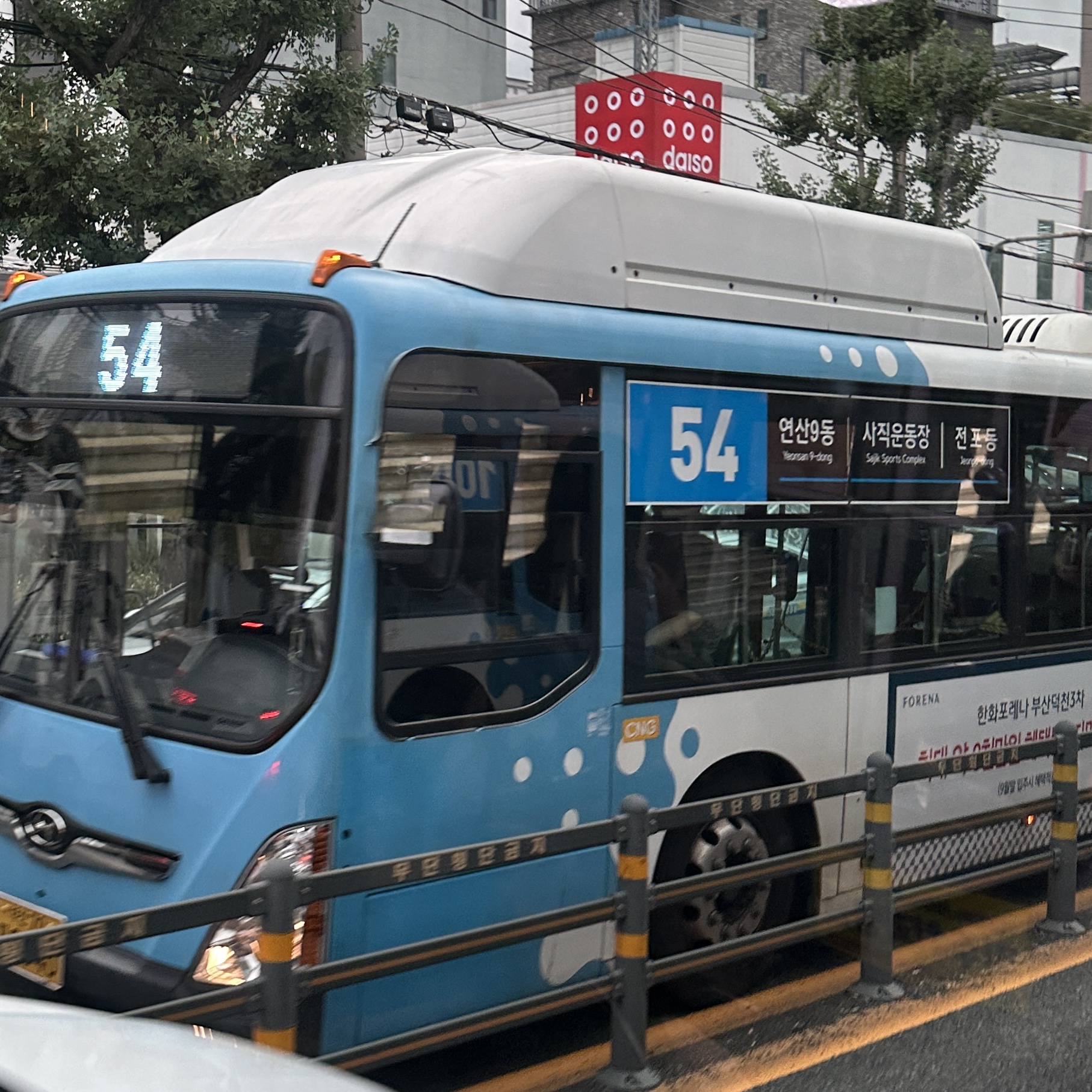 부산54번버스