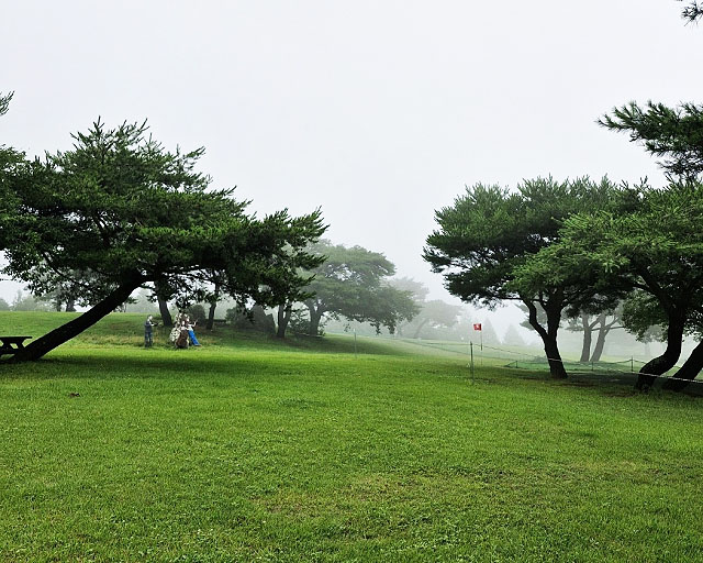 경주 화랑의 언덕 파크골프장. 경북 경주시 산내면 내일리 산261-2