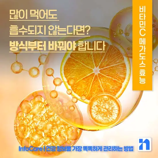 비타민C 메가도스 효능