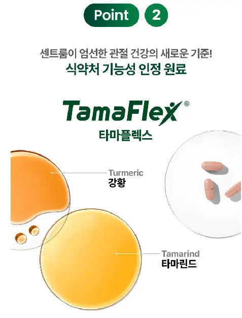 노인 관절 영양제 추천 센트룸 타마플렉스 올인원 효과와 복용법·후기 총정리