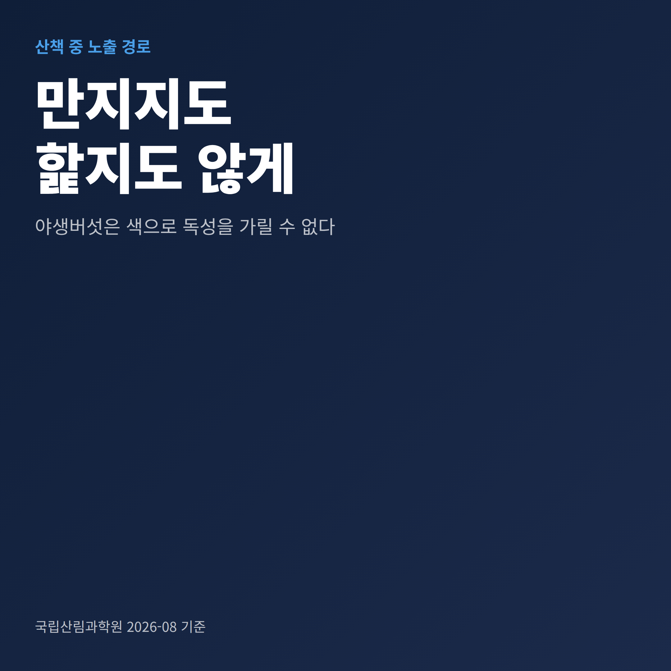 산책 중 야생버섯을 만지거나 핥지 않아야 한다는 점을 강조한 안내 이미지
