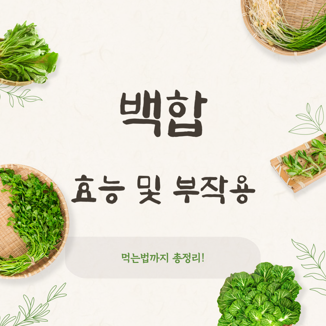 백합 효능과 부작용