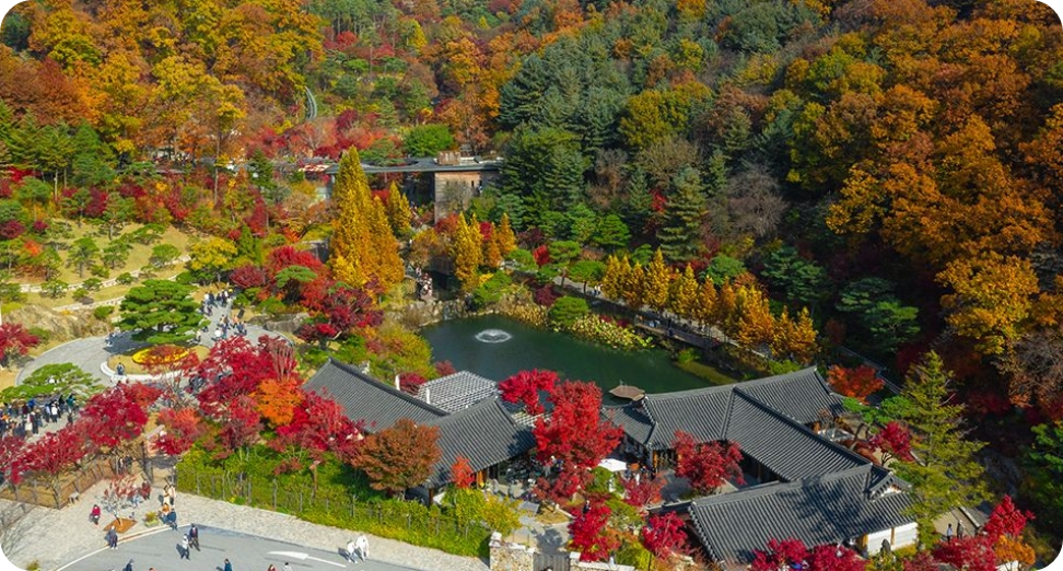 화담숲 베스트 호수정원