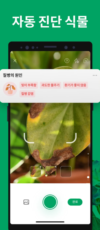 사진으로 꽃이름 찾기