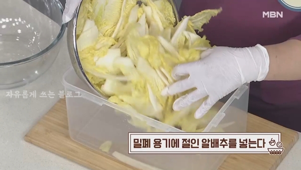 알배추 요리
