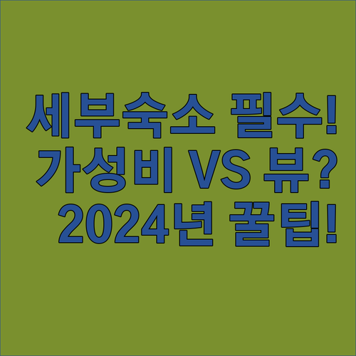 2024 세부 숙소 고민 끝 신축 가..
