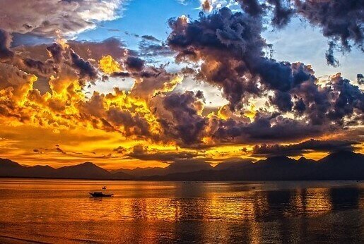 행동장애 치료, 치유, 회복, 지원, 지지, 응원