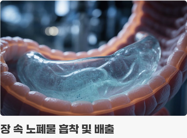 내 장 속을 청소하는 '수분 자석'