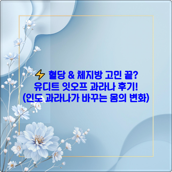 ⚡️ 혈당 & 체지방 고민 끝? 유디트 잇오프 과라나 후기! (인도 과라나가 바꾸는 몸의 변화)