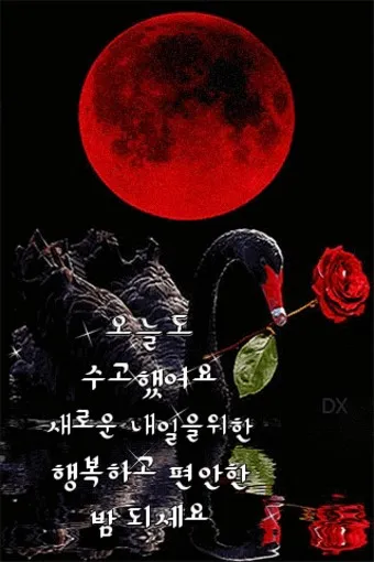 밤인사 이미지 일러스트 인사 문구_4