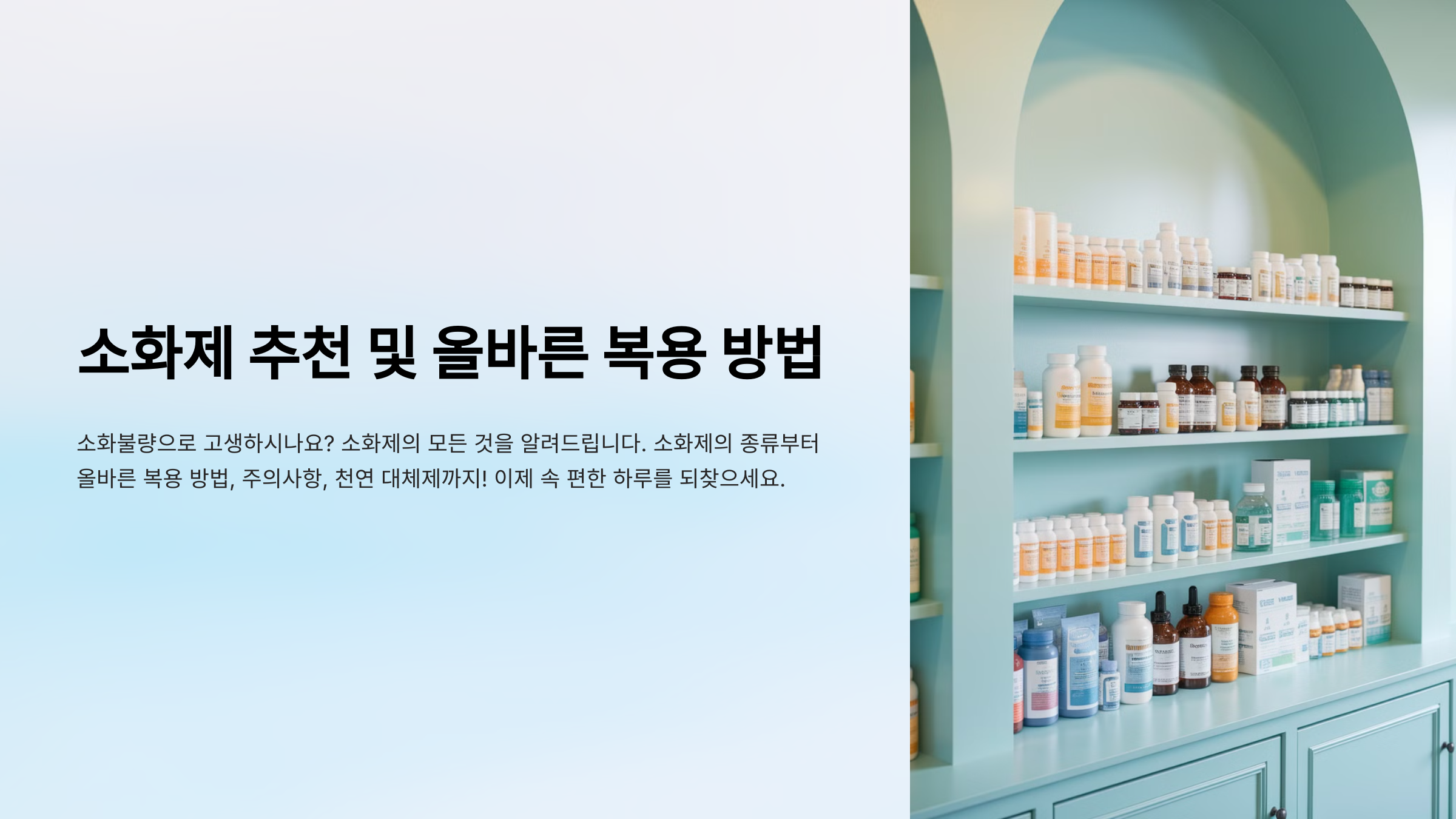 소화제의 정의