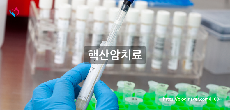 핵산암치료