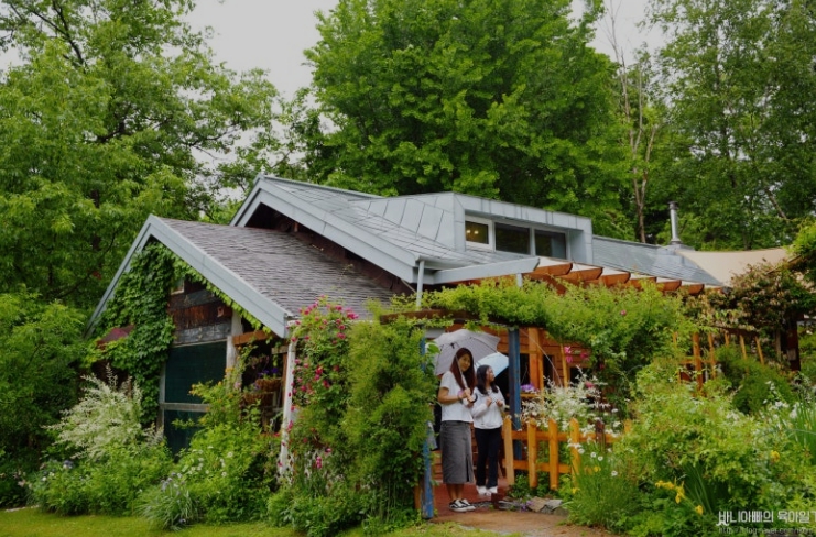 미술관-자작나무숲04