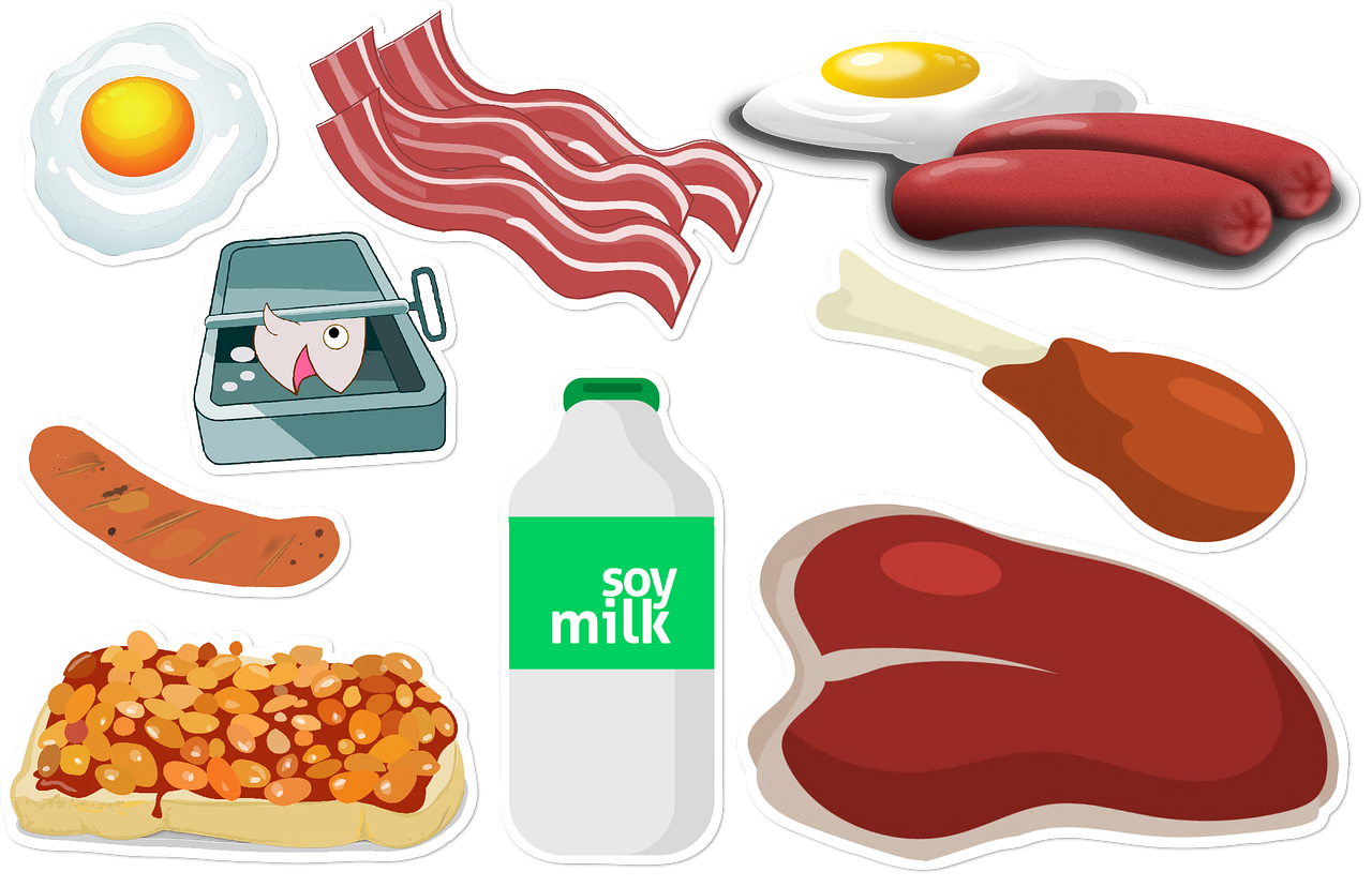 단백질 다이어트