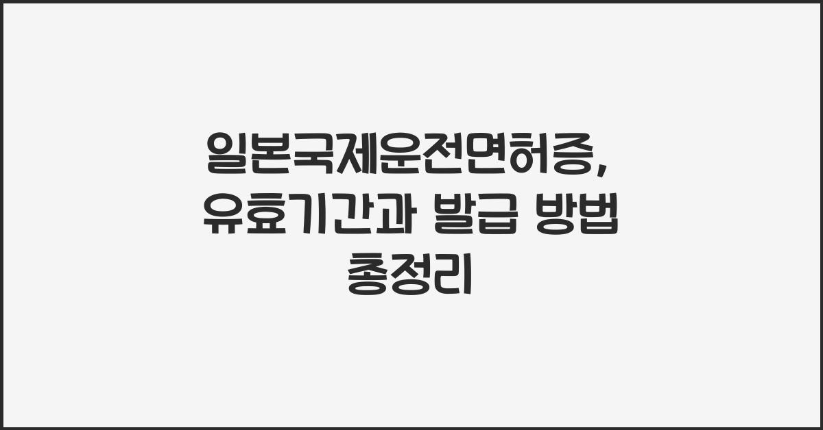 일본국제운전면허증