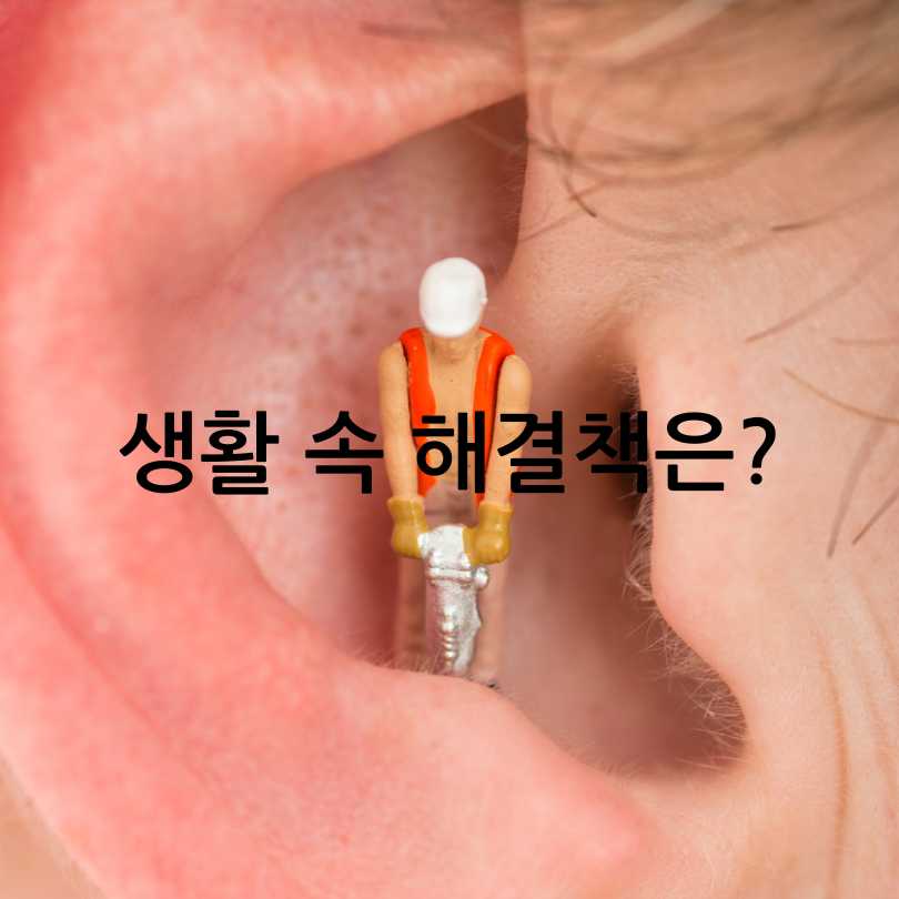 이명 원인,증상,치료방법, 해결책