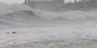 울릉도 독도 가족여행 준비 최적의 시기와 피해야 할 시기