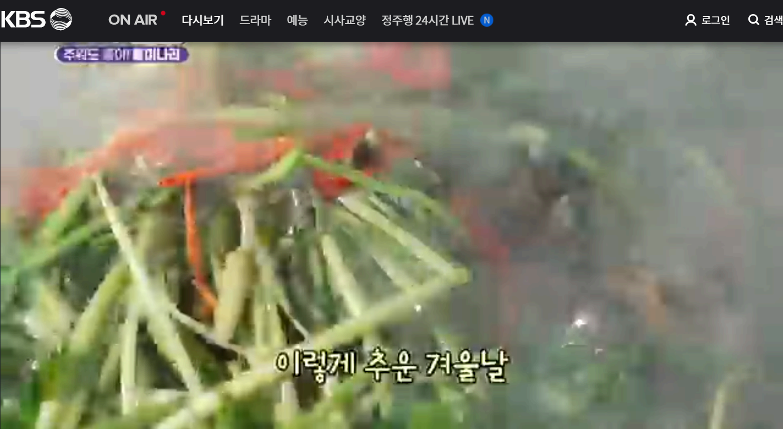 12월 24일 방송된 [ 돌미나리 - 전남 나주 ] 관련 정보입니다 