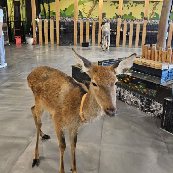 와우쥬 양산점