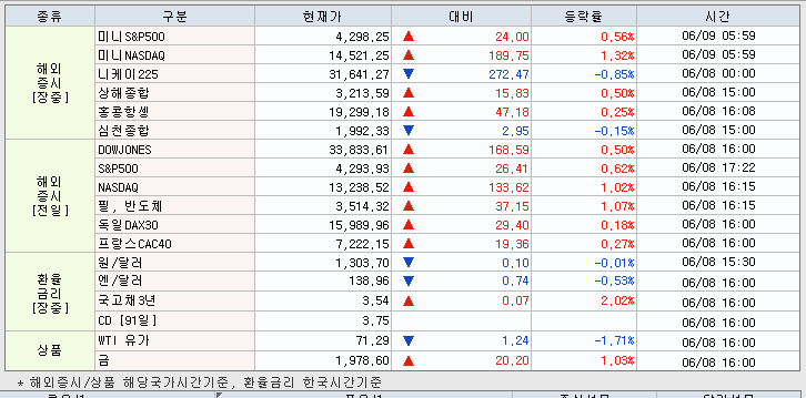 6.9 해외증시 동향